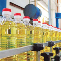 समस्याग्रस्त बिस सहकारी, आफैँ सञ्चालक आफैँ ऋणी