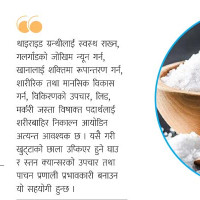 पोखराका दुई इन्जिनियरलाई आठ महिना कैद