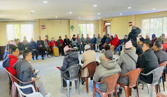 निर्वाचन लक्षित गतिविधि बढाउँदै दलका उम्मेदवार