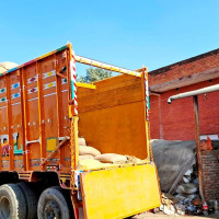 प्रजातन्त्रको खोजीमा असफल ती विद्रोह