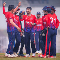 प्रदूषक गाडी, निष्क्रिय नियमनकारी