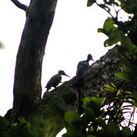 युवा पुस्तामा गोलघरको आकर्षण