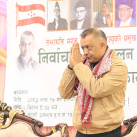 मलेसिया र सिङ्गापुरको काठ आयात रोक्नुपर्छ : सांसद  थापा