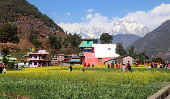 सङ्घीय सांसदलाई सबै योजनामा जोड्नु हुँदैन  : सांसद घर्ती
