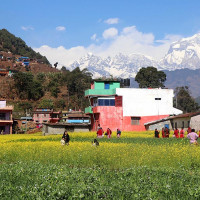 क्यानाडाको अर्थतन्त्रमा सेवा क्षेत्रको महत्त्वपूर्ण भूमिका