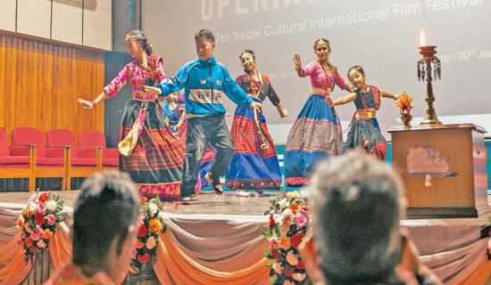 चलचित्र महोत्सवमा विभिन्न देशका प्रतिनिधि