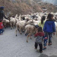 किसानलाई मतदानको समस्या