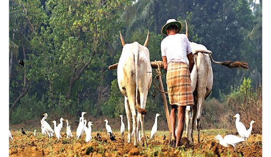 समावेशीकरणको दिशामा नयाँ फड्को : गोरखापत्रद्वारा प्रकाशित मुगाल भाषा