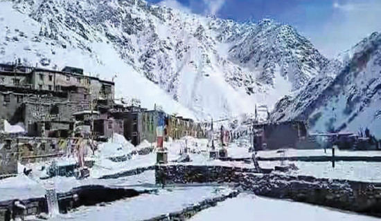 लिमीका मतदाता काठमाडौँमा