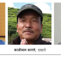 द्रूतमार्ग निर्माण प्रगति