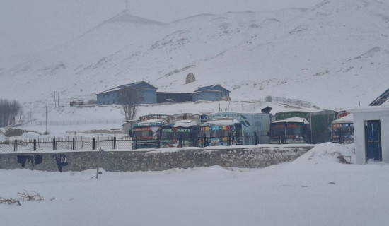 द्रूतमार्ग निर्माण प्रगति