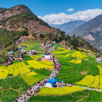 सुनचाँदीको भाउ घट्यो