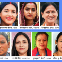 ‘वन सम्पदालाई करको दायरामा समेट्नु पर्छ’