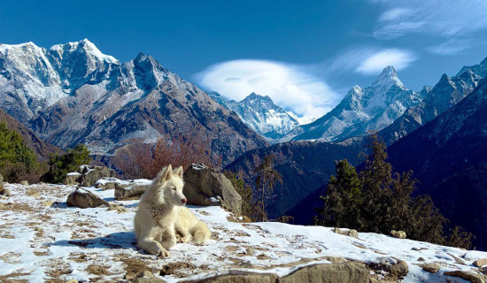 नाम्चेस्थित एभरेस्ट भ्यू प्वाइन्टबाट देखिएको हिमाल