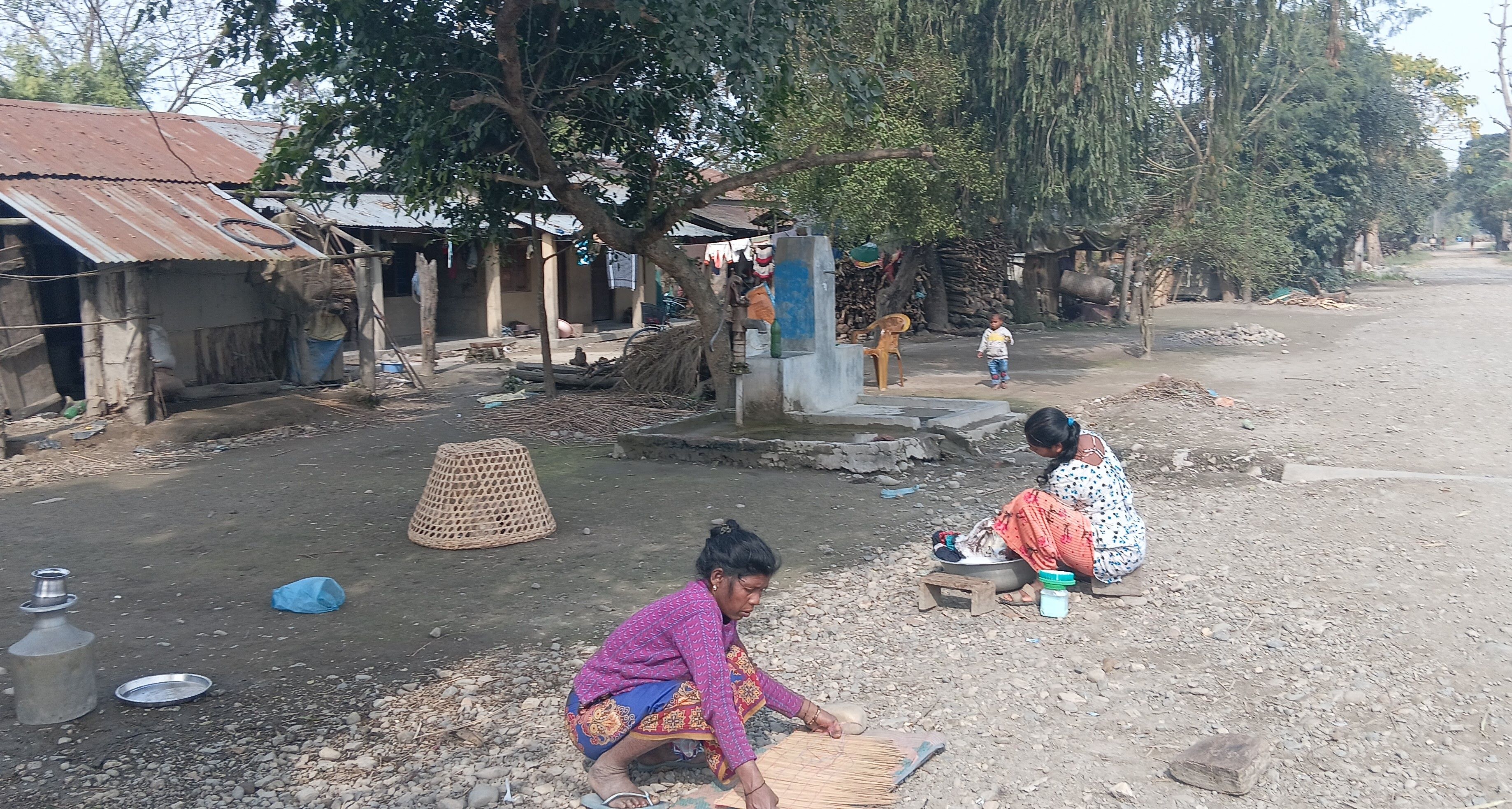 माझी र मुसहर समुदायलाई छैन चुनाबी चासो