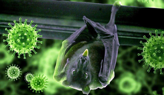 ऋण नतिर्नेलाई राज्यले छोड्दैनः अर्थमन्त्री महत