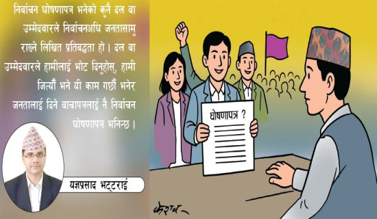 निर्वाचन घोषणापत्रको मर्म