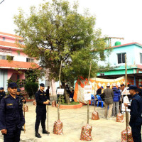 नुनको उपभोग बढी