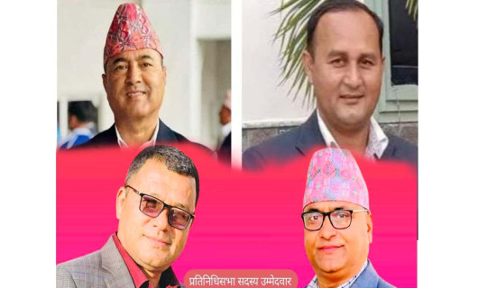 विरासत जोगाउने ठुला दलको दौडधुप