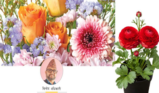 साफ यु-१९ महिला फुटबलमा आज नेपाल भुटानसँग खेल्दै