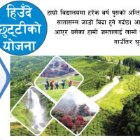 मान्छेको मस्तिष्कमा ‘चिप’