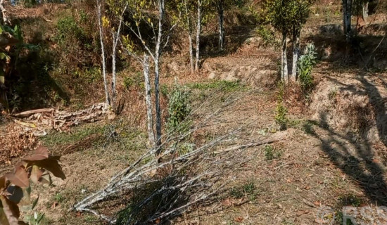 ओलाङचुङगाेलालाई केन्द्रबिन्दु बनाएर भूकम्प