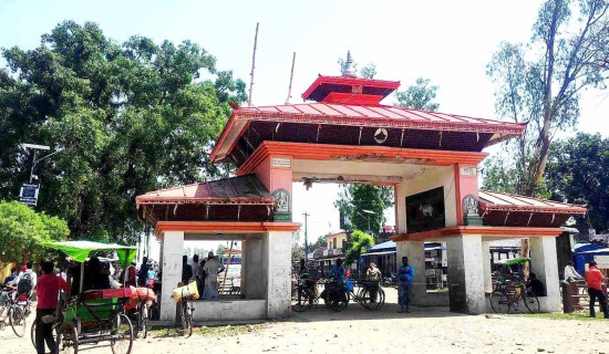 त्रिविको शिक्षाशास्त्र सङ्कायले पायो ‘क्युएए’