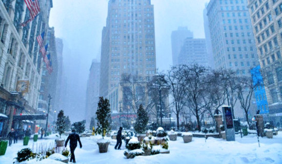 त्रिविको शिक्षाशास्त्र सङ्कायले पायो ‘क्युएए’