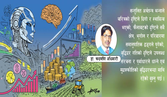 सन्तुलित आकारको अर्थतन्त्र