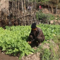 छयत्तर जना उम्मेदवारको नाम बन्दसूचीबाट हट्यो