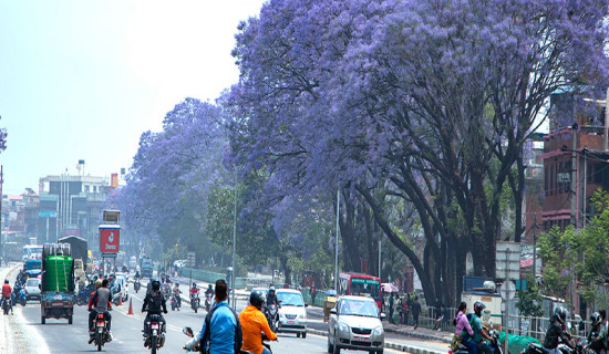 ग्यास अभाव हुँदैन : निगम