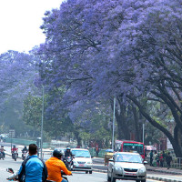 सन्तुलित आकारको अर्थतन्त्र