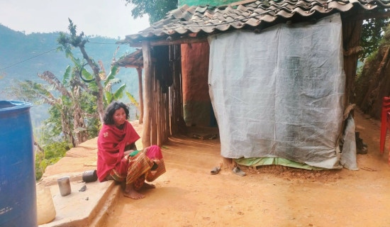 मापसेले बढ्दै अपराध