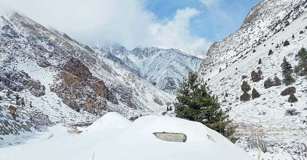 चुनावी प्रचारप्रसार स्थगित