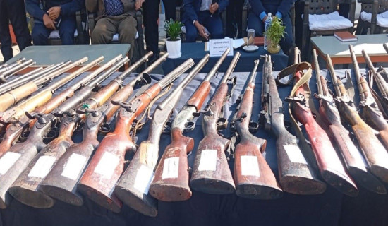 लमजुङमा बुझाइए ६९ नाल भरुवा बन्दुक