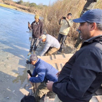 बुहारीहरू पन्चैबाजा सिक्दै