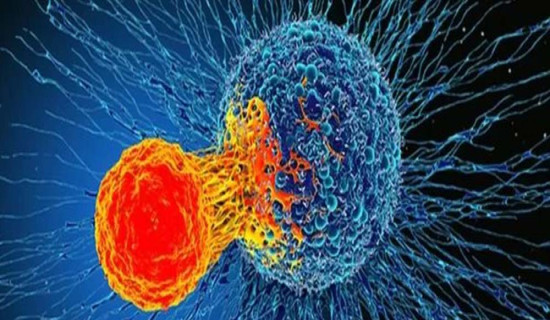 स्वास्थ्य शिविरबाट चार सय जना लाभान्वित