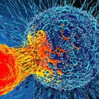 बालकमाथि यौन हिंसा