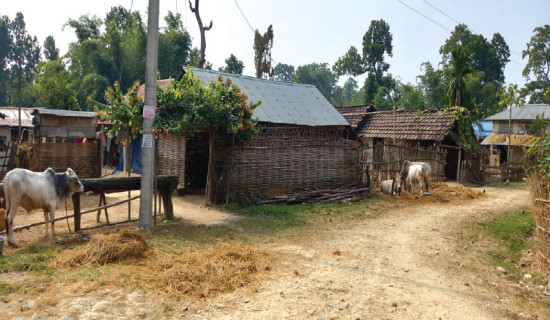 चुनावी प्रचारको मुख्य एजेन्डा: सुकुमवासी र भूमिसम्बन्धी समस्या