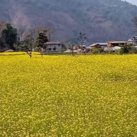 रोकथाम पहिलो प्राथमिकता