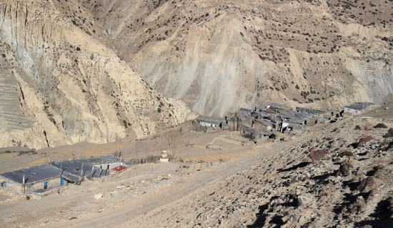 प्रतिनिधिसभा निर्वाचनका लागि बैतडीमा १४ सय कर्मचारी खटाइने