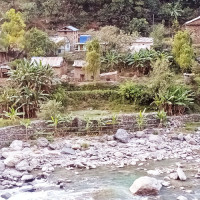 ढुंगा लागेर महिलाको मृत्यु