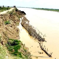 टी–२० विश्वकप : नेपालको अन्तिम अभ्यास खेल क्यानडासँग