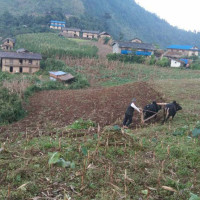 नेताले मत माग्छन्, जनताले पानी