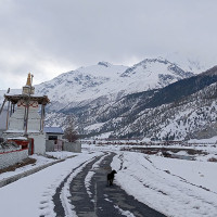 जेनजी आन्दोलनका घाइतेको वर्गीकरण गरिने