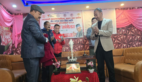 फरक संरचनामा पिएम महिला टी–२०