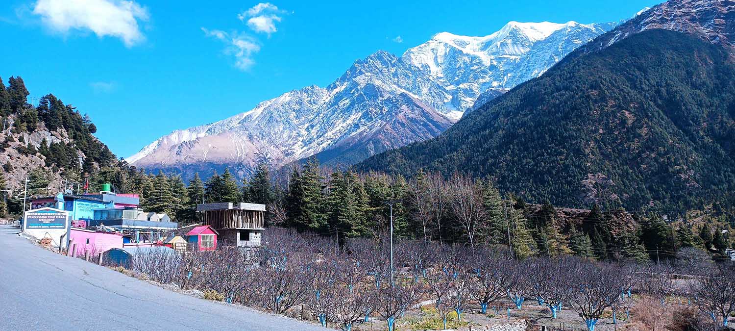 निलगिरि हिमाल