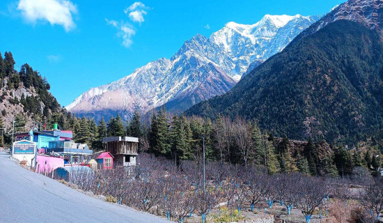 विश्वविद्यालय खेलकुद सुरु