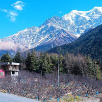 एकै चरणमा निर्वाचन गरेर प्रतिनिधि सभालाई सरकार हस्तान्तरण गर्छौँ : प्रधानमन्त्री कार्की