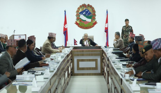 पत्रकारिताको व्यावसायिकता अझ सुदृढ बनाउने प्रतिबद्धता